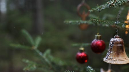 Joulukoristeilla ja -valoilla koristeltu kuusi metsässä.