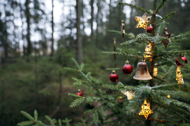 Joulukoristein ja -valoin koristeltu kuusi metsässä.